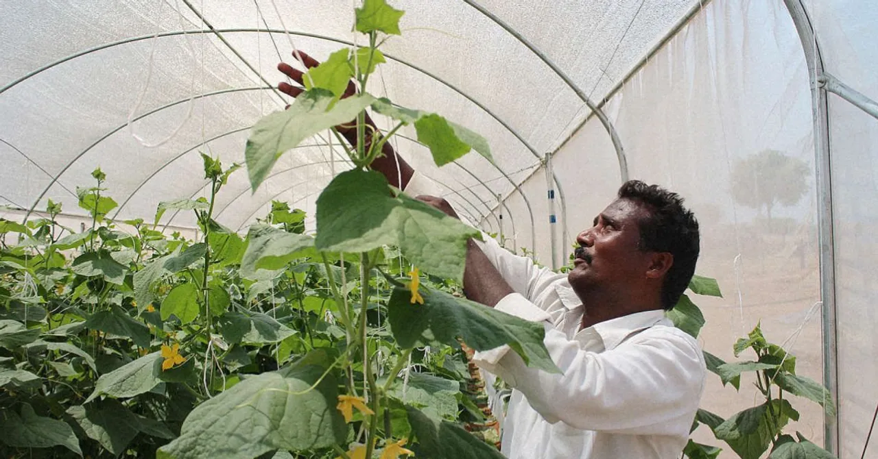 After Seeing a Farmer Go Hungry, This Entrepreneur Built a Mini Greenhouse That Saves 98% Water