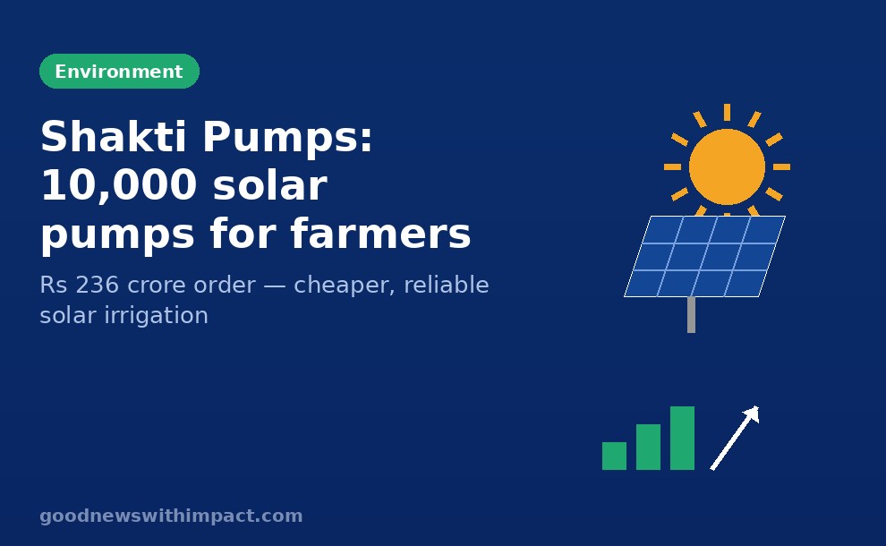 Shakti Pumps wins Rs 236 crore order for 10,000 solar pumps