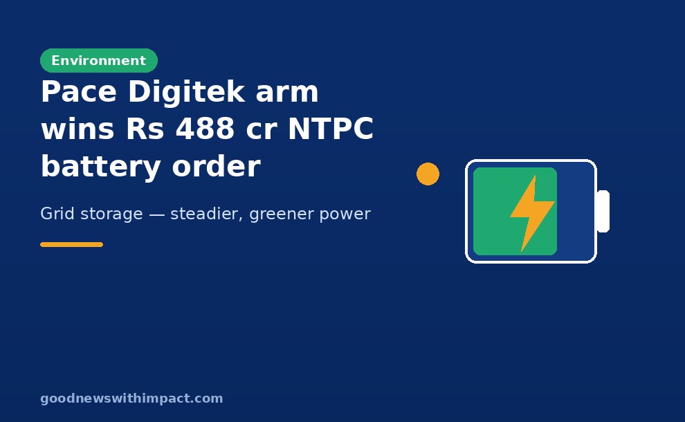 Pace Digitek arm wins ₹488 crore NTPC battery order