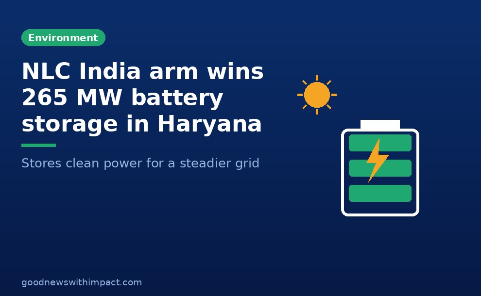 NLC India arm wins 265 MW battery storage project, Haryana