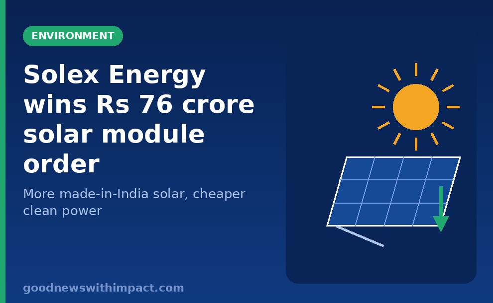 Solex Energy wins ₹76 crore solar module order