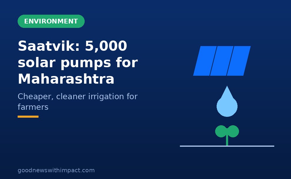 Saatvik wins order for 5,000 solar pumps in Maharashtra